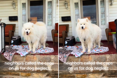 Dog Owner Gets Visit From Cops After Neighbor's CallâCan't Believe Reason