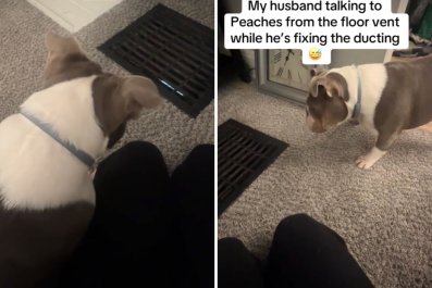 Dog Reacts to Hearing Voice of 'Scary Man' Coming From the Vents