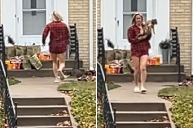 Woman Forced To Run Over As She Sees What Cat Doing Outside Neighbor's Home